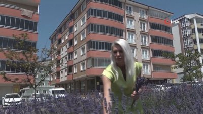 Bilecik'te trafik lavanta kokusuyla akıyor