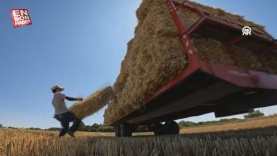 Trakya'da buğday hasadı bitti! Saman balyalarının taşınmasına başlandı