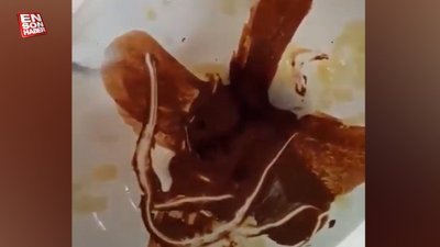 Görenlerin midesini bulandırdı: Klozetin içinde çikolata servisi