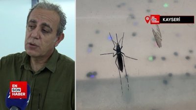 Asya kaplan sivrisineğine karşı uyarı: Plastik atıkların içindeki suya dikkat