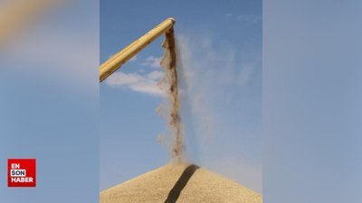 İbrahim Yumaklı: TMO 8,5 milyon ton hububat teslim aldı