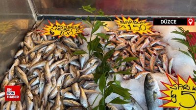 Balık tezgahlarında çeşit azaldı, fiyatlar yükseldi