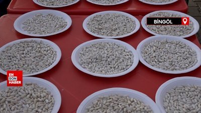Bingöl’de coğrafi işaretli Yedisu horoz kuru fasulyesi festivali düzenlendi