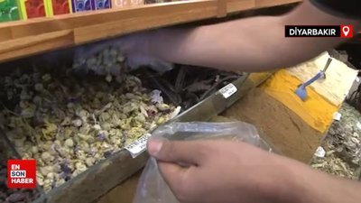 Birçok hastalığa iyi geldiği bilinen kış çayına rağbet arttı