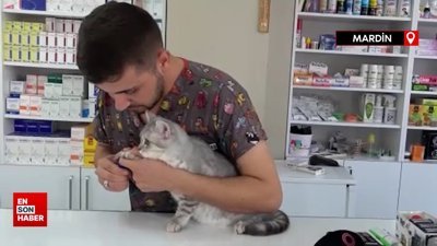 Uzmanından evcil hayvan bakım önerileri