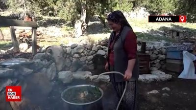 Sedir kozalakları kışın kazanlarda şifaya dönüşüyor