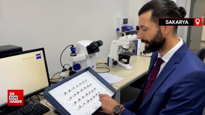 Uzmanlar kahverengi kokarca böceğine karşı samuray arıcığını önerdi