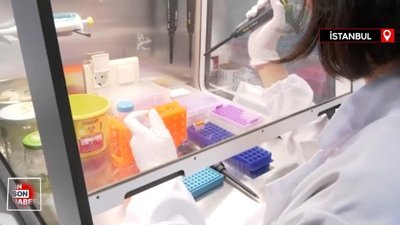 Batı Nil Virüsü’nü iki saatte tespit edebilen ‘PCR Tanı Kiti’ geliştirildi