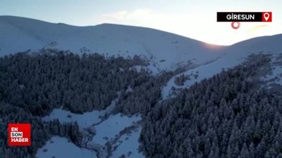 Giresun yaylalarından kartpostallık kar manzaraları