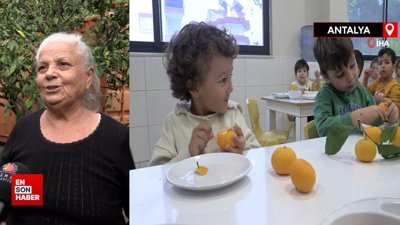 Antalya'da bahçesindeki meyvelerini yetim ve öksüz çocuklara gönderiyor