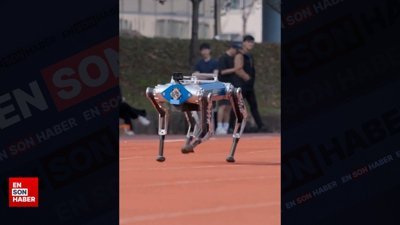 100 metreyi 19.87 saniyede koştu: Güney Koreli robot Guinness Rekorlar Kitabı'na girdi