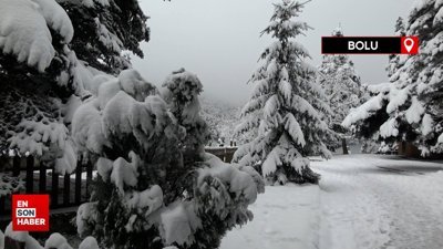Gölcük Tabiat Parkı, karla kaplandı