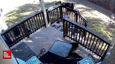 Arıdan kaçarken düşen adam kamerada