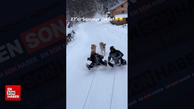 Kızakla kayan gençlere köpek sürprizi: Peşlerine düştüler