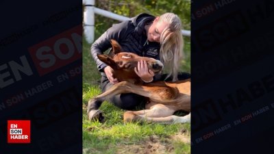 Hayatta kalma şansı çok az olan tayın sevgiyle hayata tutunuşu