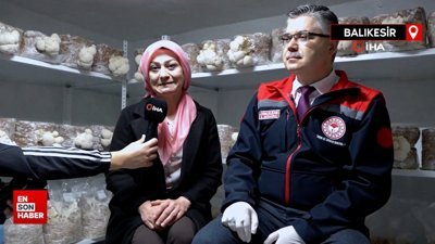 Balıkesir'de evin bodrumunda aslan yelesi mantarı üretiyor