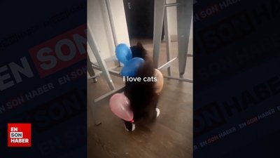 Kedilerin statik elektrik ile imtihanı