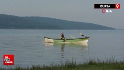 Yaren Leylek 13'üncü kez Balıkçı Adem Amca'ya kavuştu