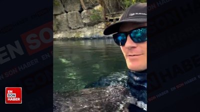 10 yıla aşkın süredir timsahlarla beraber yüzüyor