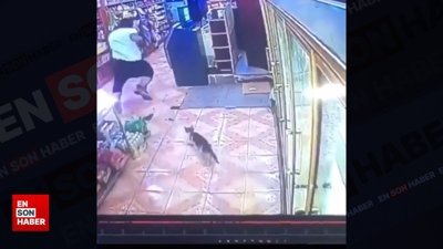 Marketten içecek çalıp kediden korkmuş gibi kaçtı