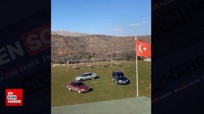 Arabaların kutu kutu pense oyunu