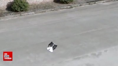 Çin, dünyanın en gerçekçi kuş drone'unu tanıttı