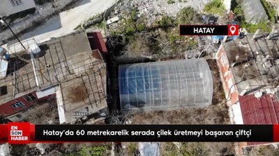 Hatay'da 60 metrekarelik serada çilek üretmeyi başaran çiftçi