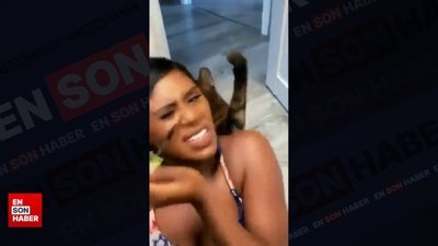 Makyaj yapan sahibini tokatlayan kedi