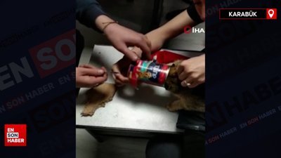Karabük’te kafasını mama kutusuna sıkıştıran kediyi itfaiye kurtardı