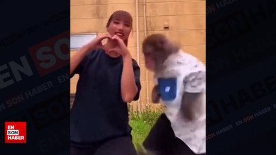 Maymundan tekme yiyen talihsiz kadın