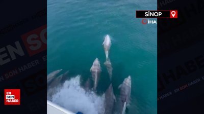 Sinop’ta yunusların dansı görsel şölen oluşturdu