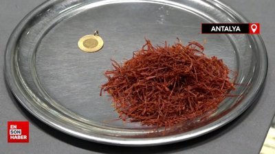 4 gram safran, 1 gram altınla aynı fiyatta