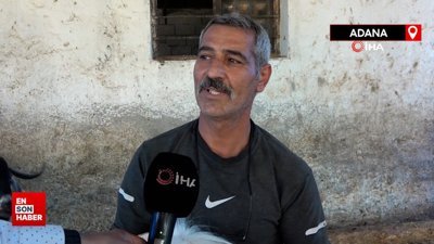 Adana'da kurbanlıklara bayram öncesi özel ilgi