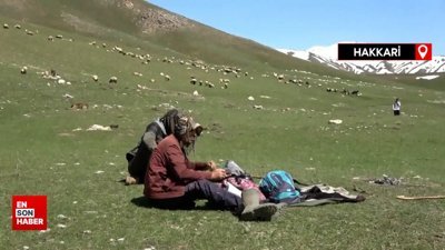 Hakkari'de yerli çoban bulunamadı, rota İran'a çevrildi