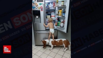 Bebek ile köpeğin eğlenceli iş birliği