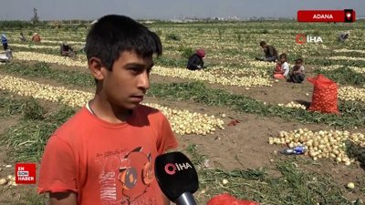 Adana'da tarım işçisi Yusuf: Tek isteğim polis ya da asker olmaktı