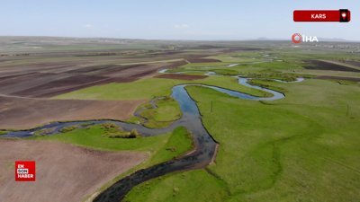 Kars’ta mendereslerde bahar güzelliği böyle görüntülendi