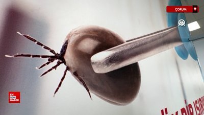 Kırım Kongo Kanamalı Ateşi'nin griple karıştırılmaması uyarısı