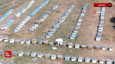 Türkiye'de arıcılık alanındaki yenilikler 2023 arıcılık haritasında