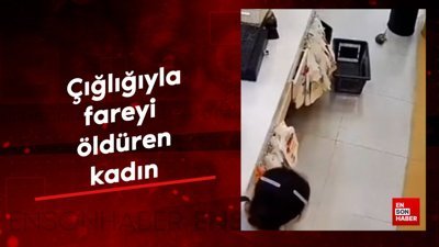 Çığlığıyla fareyi öldüren kadın kamerada
