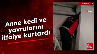 Karabük'te mahsur kalan anne kedi ve yavrularını itfaiye ekipleri kurtardı