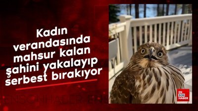 Kadın verandasında mahsur kalan şahini yakalayıp serbest bırakıyor
