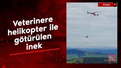 İsviçre'de veterinere helikopter ile götürülen inek