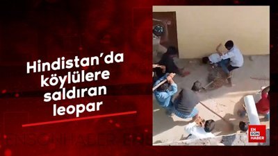 Hindistan'da köylülere saldıran leopar