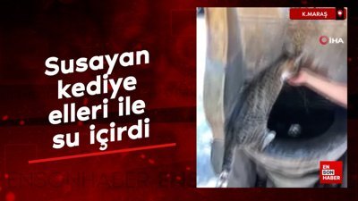 Kahramanmaraş’ta susayan kediye elleri ile su içirdi