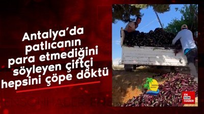 Antalya’da patlıcanın para etmediğini söyleyen çiftçi hepsini çöpe döktü