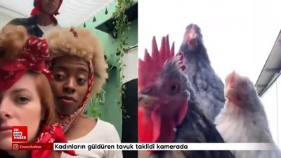 Kadınların güldüren tavuk taklidi kamerada