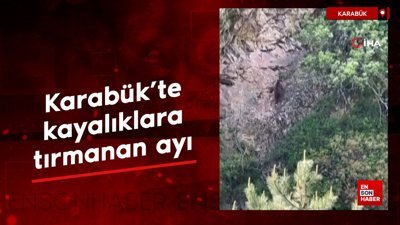 Karabük'te kayalıklara tırmanan ayı