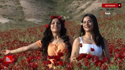 Adıyaman’da nohut tarlası gelinciklerle kızıla büründü