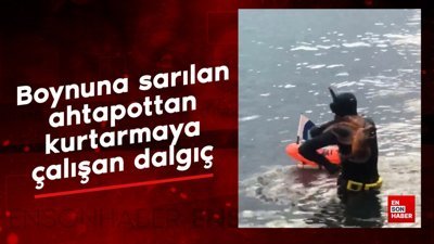 Boynuna sarılan ahtapottan kurtarmaya çalışan dalgıç